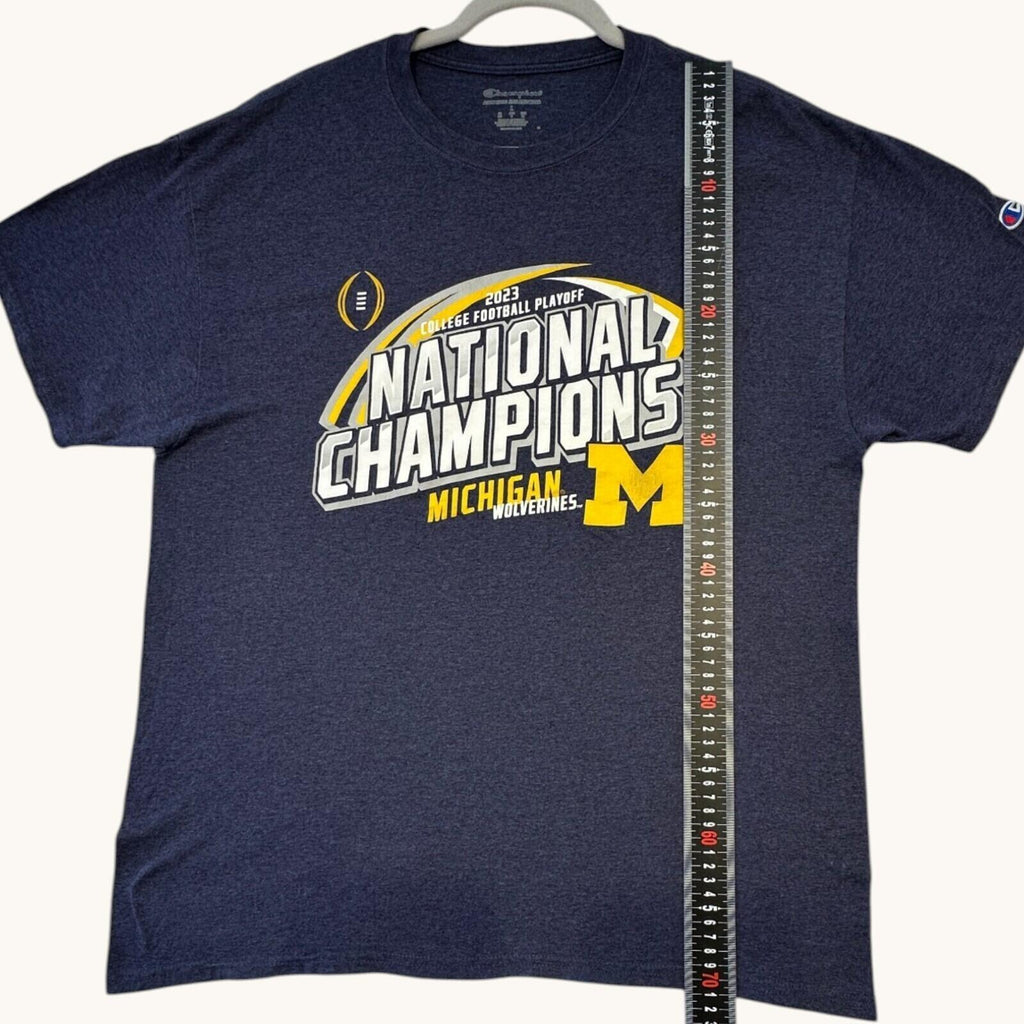 Champion Michigan Wolverines T-Shirt Men's UK Size L Grey